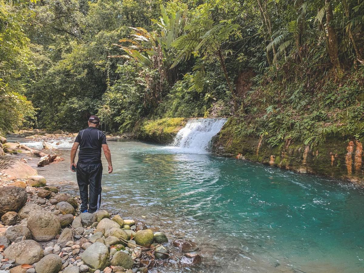 Oski Lodge, Rain Forest Rincon De La Vieja Upala Eksteriør billede