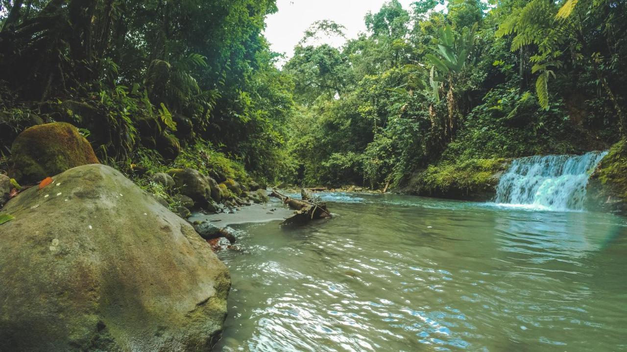 Oski Lodge, Rain Forest Rincon De La Vieja Upala Eksteriør billede