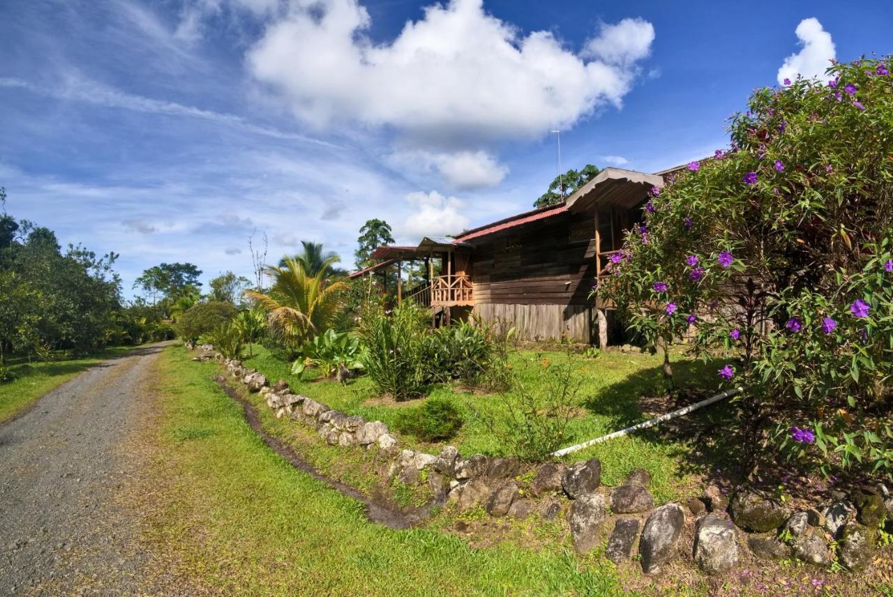 Oski Lodge, Rain Forest Rincon De La Vieja Upala Eksteriør billede
