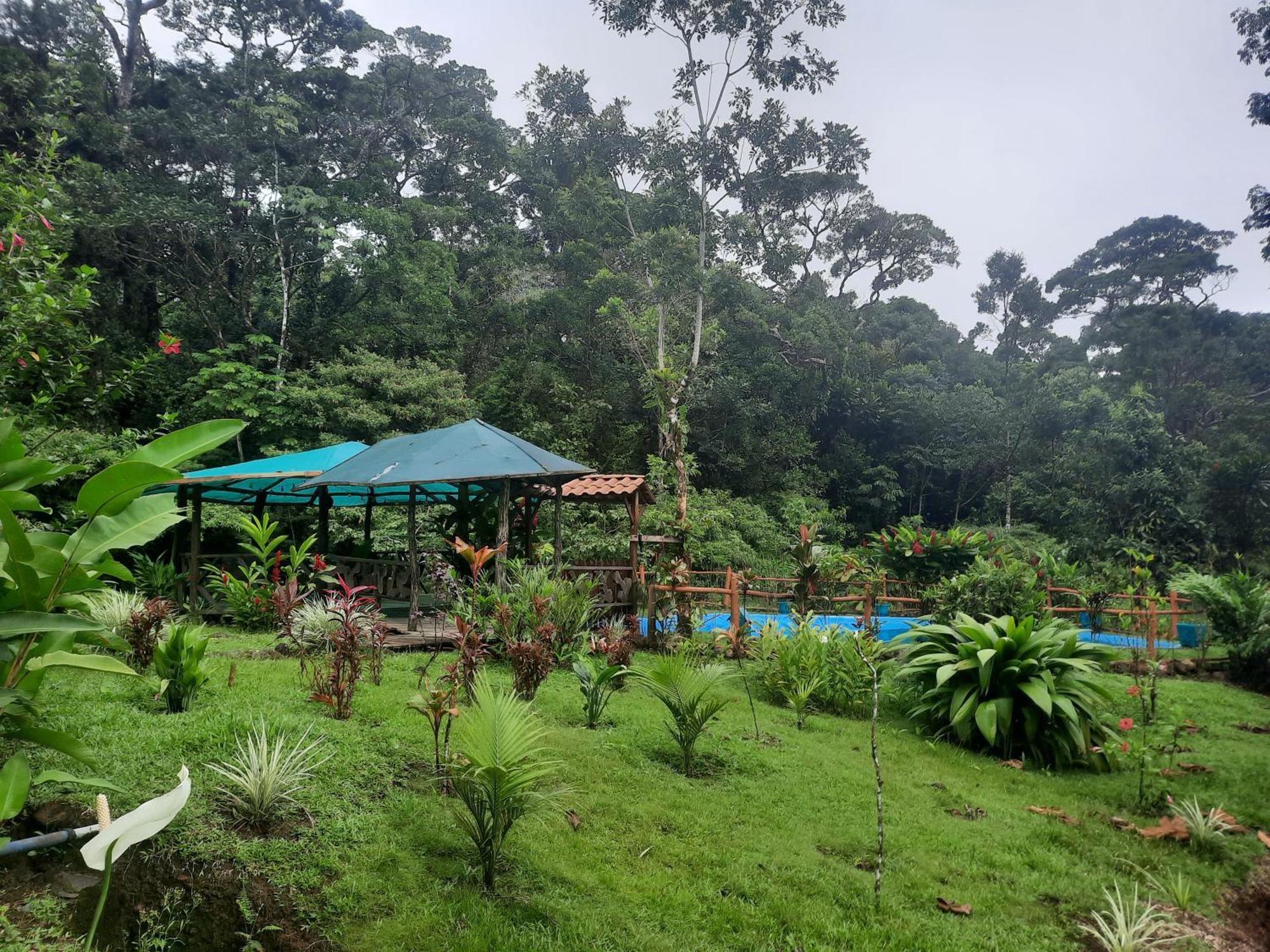 Oski Lodge, Rain Forest Rincon De La Vieja Upala Eksteriør billede