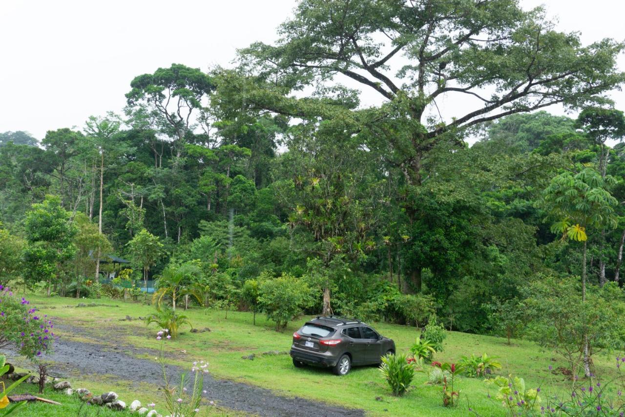 Oski Lodge, Rain Forest Rincon De La Vieja Upala Eksteriør billede