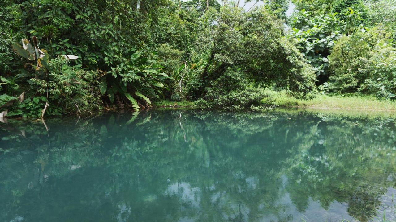 Oski Lodge, Rain Forest Rincon De La Vieja Upala Eksteriør billede